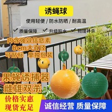 �����Tω����ٴ��ωճ�x��С��ω�Ϲ�ω�T�x����@С��ω�T����