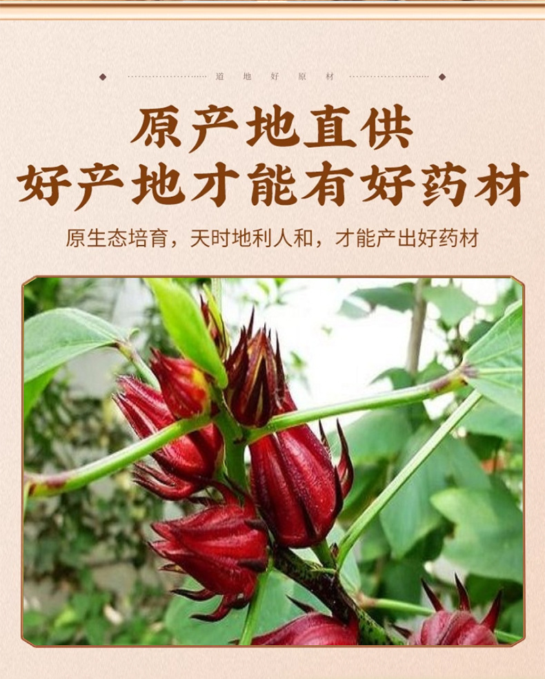 Dried Roselle Hibiscus Luo Shen Hua Whole Flowers 500g Loose Herbal Tea from Yunnan key features