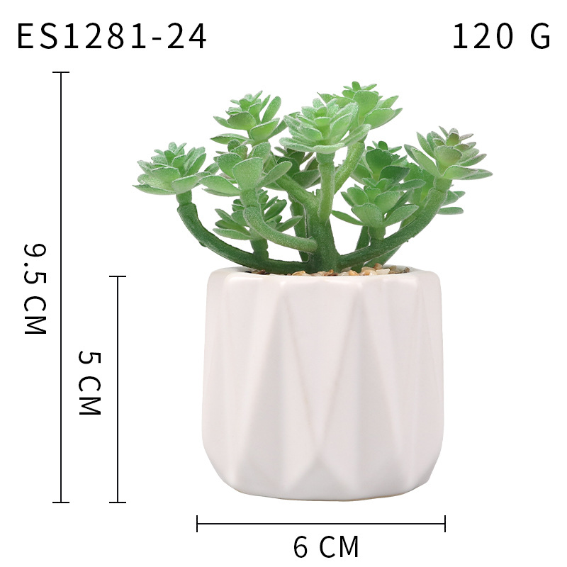 Pequeña ola al por mayor taza tipo simulación planta suculenta nórdico Muebles de Oficina Decoración fresca nuevo producto