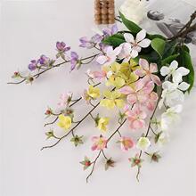 ���滨��z������@ins�L���zСҰ�՝M����ܛ�b���򻨲Ŀ羳���l