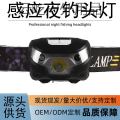 屋外夜釣り用センサー式ヘッドランプ、釣り専用、電池式LED充電式ヘッドマウント夜釣りライト、センサー式夜釣りヘッドランプ