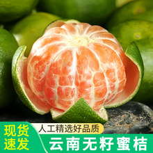 云南蜜橘早熟黄橘子新鲜水果9斤整箱绿皮蜜桔当季青皮酸桔子代发
