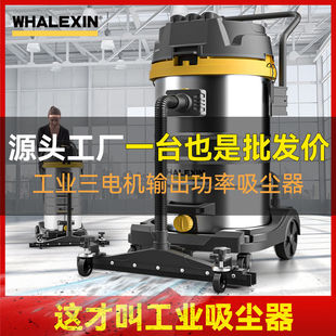 Whalesen Vacuum Cleaner Industrial High-Power Commercial High-Suction Factory Workshop Powerful Decoration Bucket-Type Dual-Purpose Vacuum Cleaner