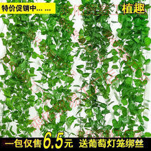 �G�jֲ��پG�~�ٗl����������������~���bܵ��p�@�v�����G�}