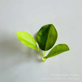 仿真植物仿真花叶配件 三叉小柿子叶 仿真柿子树装饰小叶片批发