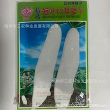 x~13}NӲˈ@ԺӷNֲļ߲˷NяSl