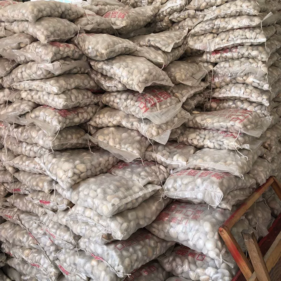 Красочный дождь цветок камень оригинальный камень красочный булыжник украшения дома брусчатка сад пейзаж камень водный пейзаж украшение камень