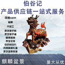 灵芝工艺盆景主营各类灵芝灵芝孢子粉灵芝片灵芝盆景厂家一件直销