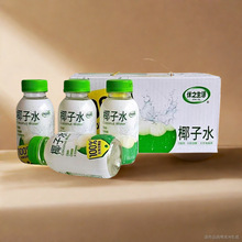 ��֮������ƷҬ��ˮ246mlƿ�bҬ֭100%��Ҭ��ˮ늽��|nfc�����b