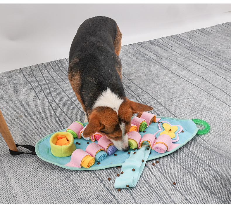Hunde Schnüffelteppich Für Das Suchtraining Und Slow Feeder_voghion.com