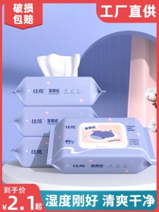 Wet Toilet Paper for Wiping Buttocks, Special Wet Wipes for Women, Pregnant Women and Adults, Flushable Toilet Paper for Private Parts, Family Portable Pack