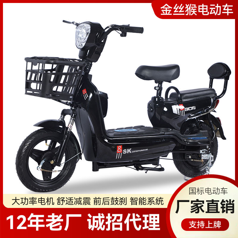 New Model Electric Vehicle, Two-Wheeled Electric Vehicle, Electric Bicycle for Adults and Students, 48V Electric Vehicle, Two-Wheeled Vehicle