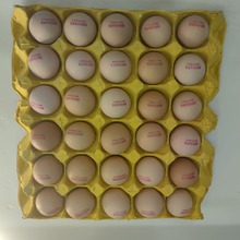 �����o�����u��/��Ʒ���b360ö/�� ë��34-38��