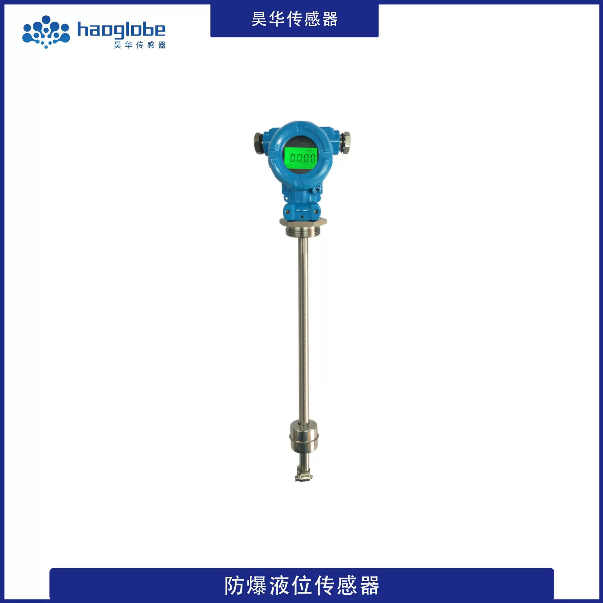 HPT-37防爆液位传感器数显耐高温水位变送器磁性浮子插入式液位计