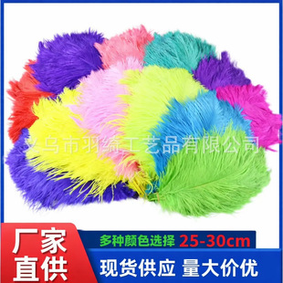 �r�Bë���l�W�t��25-30cm��ɫ��ë��Y��c�b�̨�[���r�B��ë