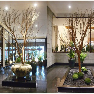 �ɘ�֦�ݘ�֦��ɫ��֦�[�����͘�U�����֦�ɼ٘�֦�b�ֱ�N