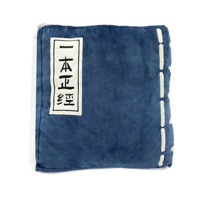 Pillow Office Lumbar Pillow | Waist support