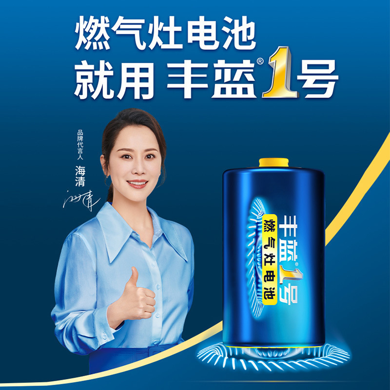 南孚丰蓝1号电池燃气灶煤气灶天然气热水器一号 R20P碳性D号电池|undefined
