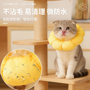 ���ﹷ��؈������ɯ�׷�ҧ��^����ɫƴ�ӿ����^�Ȧ����؈؈ͨ��
