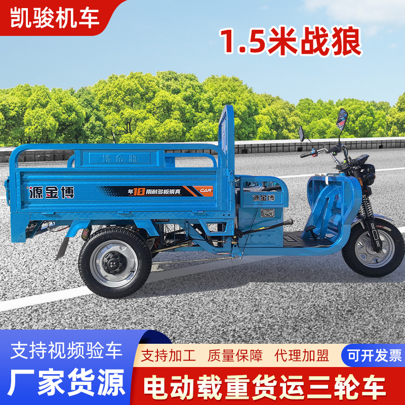 博金源家用代步电瓶车果园载货卖货摆摊专用电动车拉货小三轮车
