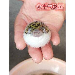 �����~��ˮͧ�Ꭷ�^�p��ˮ�~С���ɿ������޹��^���ͻ��w�������~