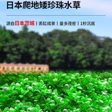 ˮ���~�����ذ�����ˮ���ձ�ſ�ذ�������~���B�����쾰ˮ��