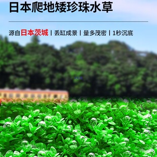 ˮ���~�����ذ�����ˮ���ձ�ſ�ذ�������~���B�����쾰ˮ��