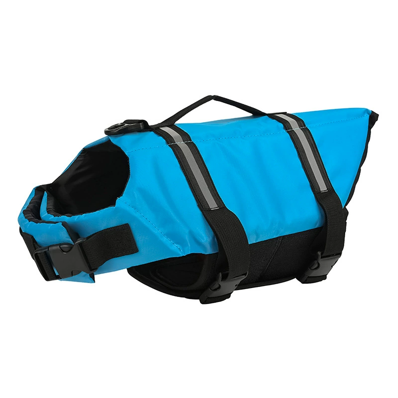 купальник для домашних животных