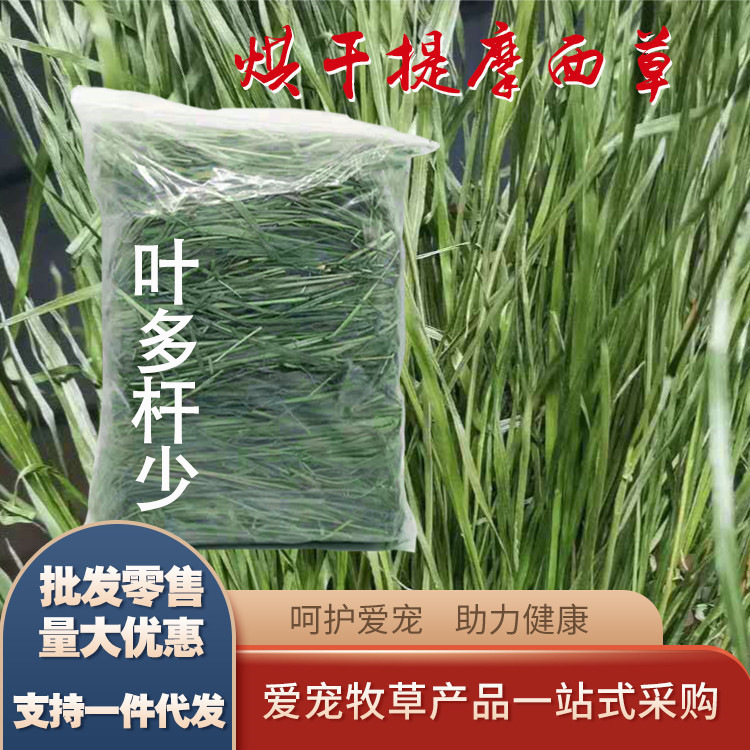Dried Timothy Grass Rabbit Hay Chinchilla Guinea Pig Pet Grass Dry Food Bag 500g Timothy Grass