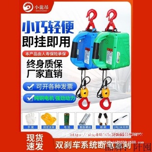 Portable Electric Hoist Mini Electric Hoist 220V Household Small Crane Lift Remote Control Traction Electric Hoist
