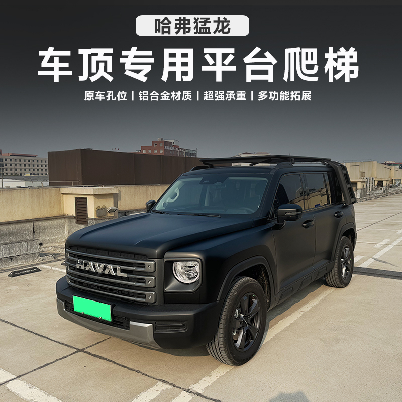 Haval Raptor Roof Rack Platform Side Ladder Haval Roof Rack Modification Backpack Side Tent Raptor Luggage Rack