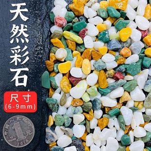 Small pebble small white pebble fleshy pavement stone flower cultivation rain flower stone fish tank landscaping bonsai courtyard paving generation