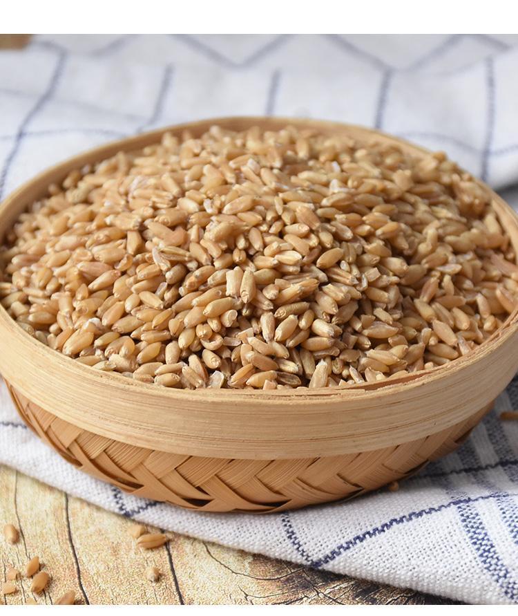 Huai Wheat Grain 500g Huai Xiao Mai Triticum aestivum Dried Chinese Herb for Decoction and Culinary Use overview