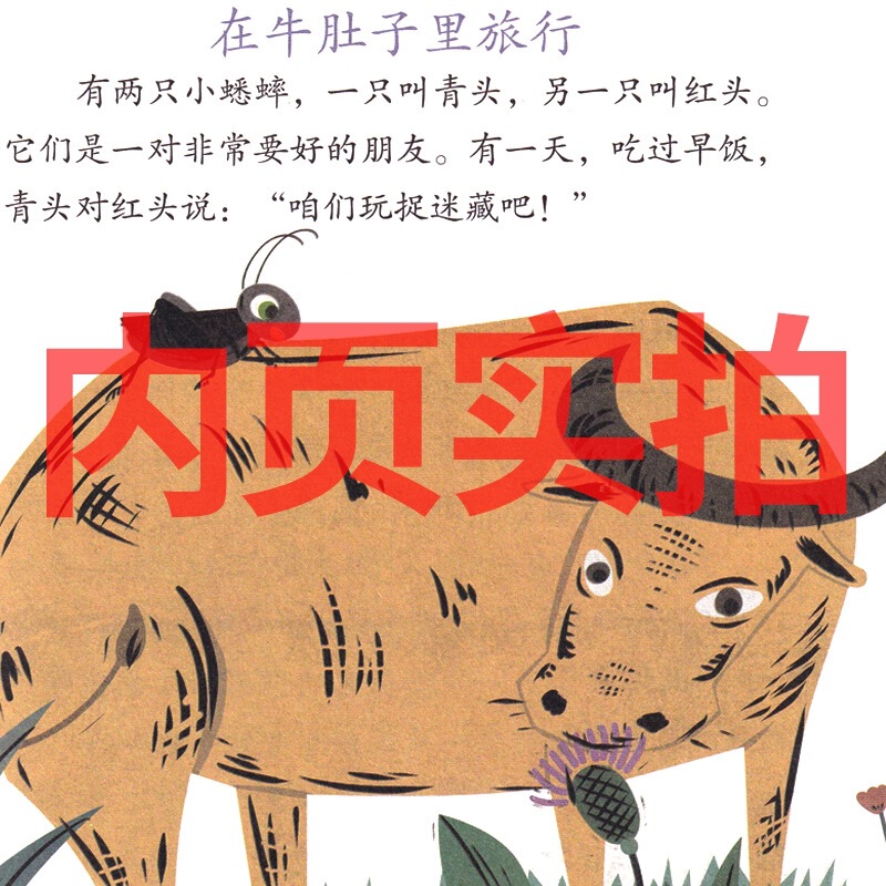 牛のお腹の中を旅行しています。|undefined