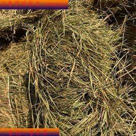 植物性饲料;其他饲料;其他农业