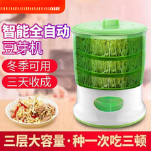 容威豆芽机家用生豆芽机器全自动发四季豆芽菜罐桶盆发芽食品级