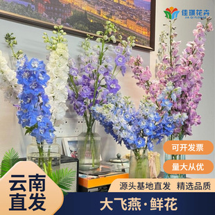 ���r���w���r�����l���ֱ�l��c�����bƵ��Y���Ų������_�m