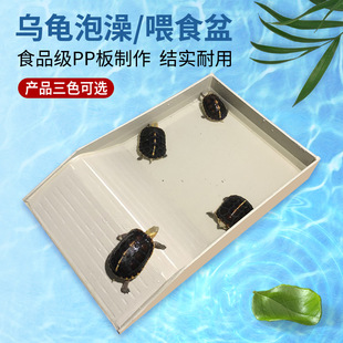 Turtle Feeding Basin, Turtle Bathing Basin, Yellow-Edged Bathing Basin, Tortoise Bathing Basin, Reptile Feeding Basin, Turtle Climbing Platform