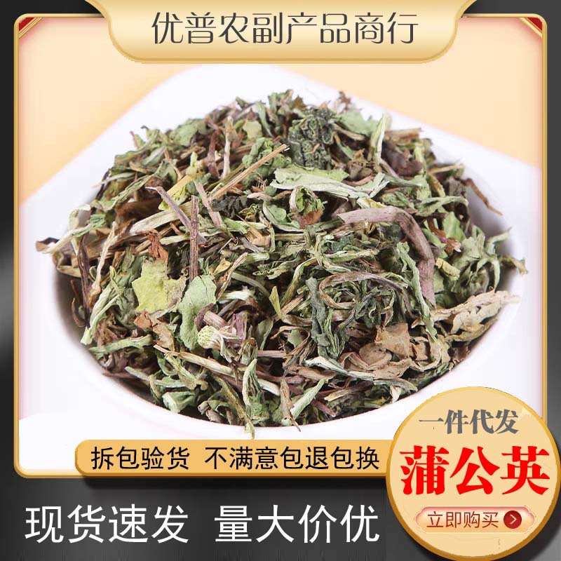 中药材批发长白山蒲公英婆婆丁茶 整棵全株泡茶泡水500g克