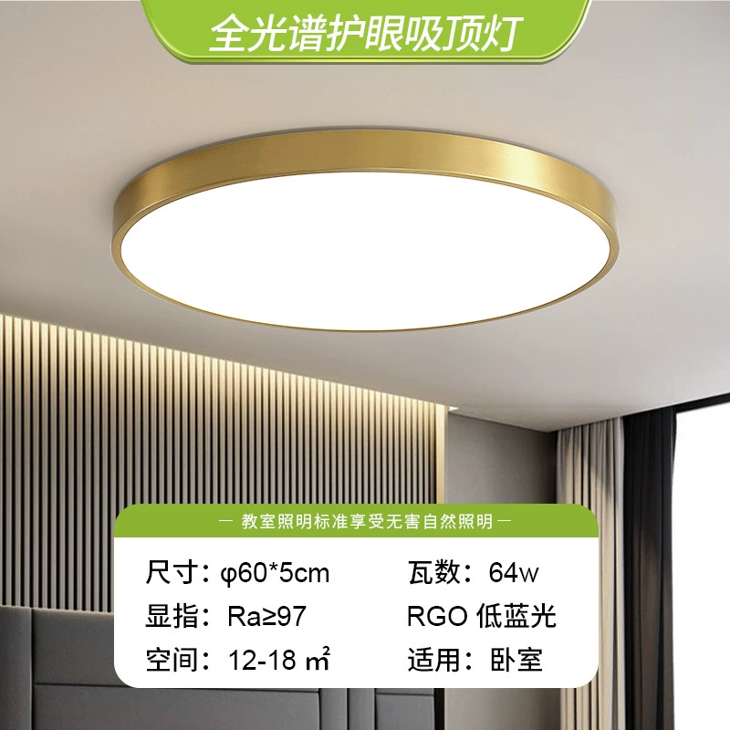 Golden LED ceiling light, lights for corridor, room light, light luxury style