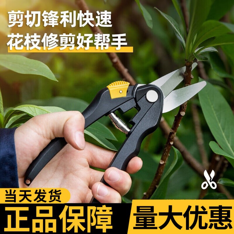 得力果树剪刀园艺剪省力剪树剪子园林盆栽直嘴花木摘果剪修剪树枝