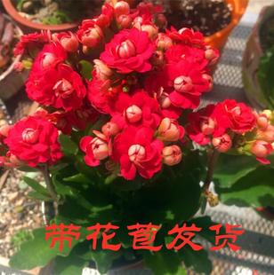 �������l؛ �L�ۻ����� ���B��Gֲ�ͺ� �ļ��_�� �҃��̨����