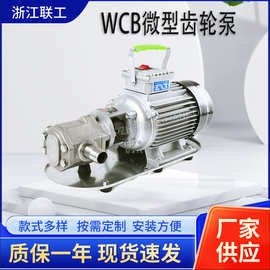 WCB微型齿轮油泵便携式手提油泵220V防爆 化工油品食品油料输送泵
