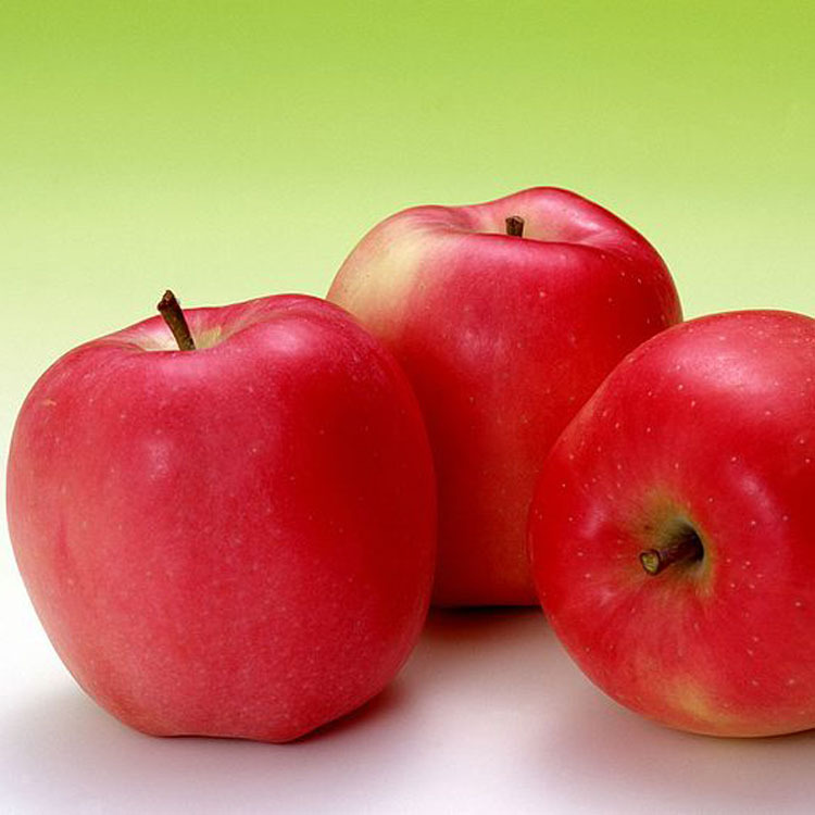 ��ƻ���㾫���������㾫��ˮ�����㾫���ȸ����ջ��ù����㾫