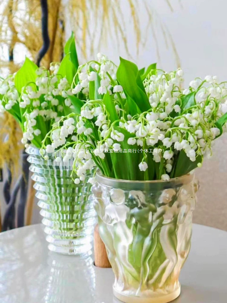 Гидропонные саженцы ландыша с бутонами, ароматные цветы, многолетние морозостойкие зеленые цветы в горшках, которые цветут в любое время года и полезны для домашних животных.