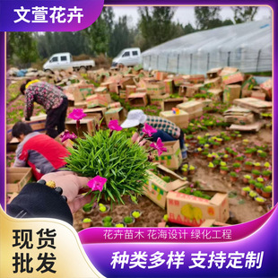 �������^�ÚWʯ�������绨�ܻ���С�^��·�����G�����̚Wʯ�����l