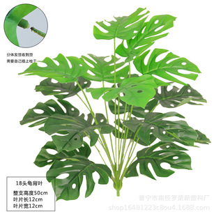 �S�����l����ֲ�������~���Ըߙn�ٻ�����Gֲ�������쾰�bG�~
