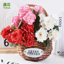 �羳���R�dTemu���溣�Ļ��ٻ���c�Ҿӿ͏d���ÿ��z����������