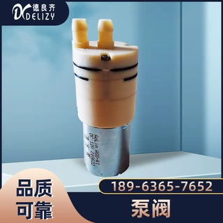 Delizy Pump DL19-01 擦地机喷水直流隔膜泵图片  专注品质