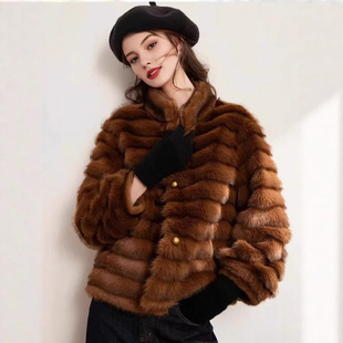 ˮ���qƤ������Ů����ë�͹��¿��Ƥëһ�w�߼��ж̿����